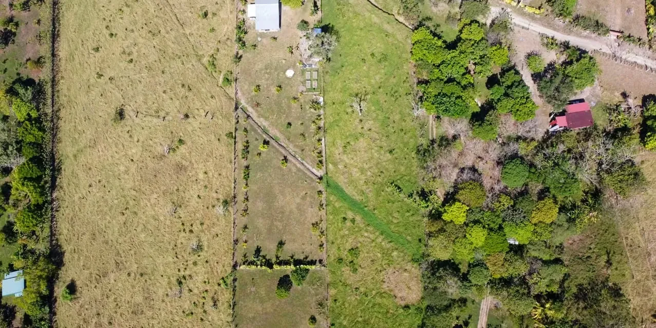 Terreno en Cabuya Puntarenas - Cerca de la playa - Ideal inversión