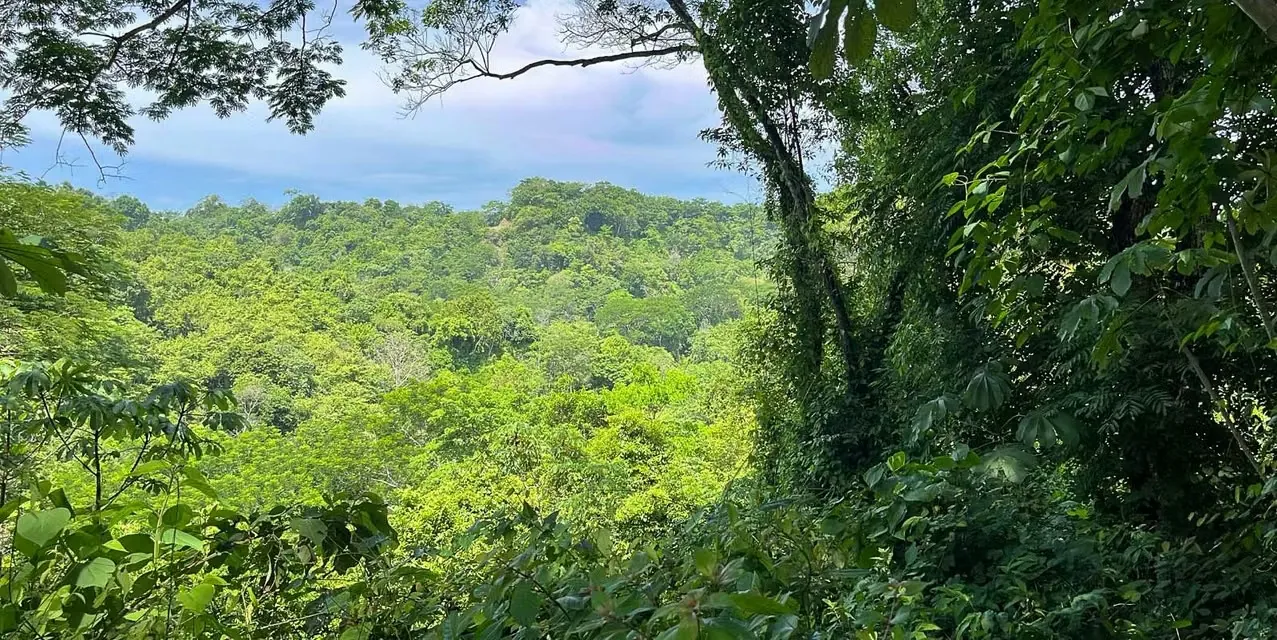 Terreno en Santa Teresa - Vista al valle y sombra natural