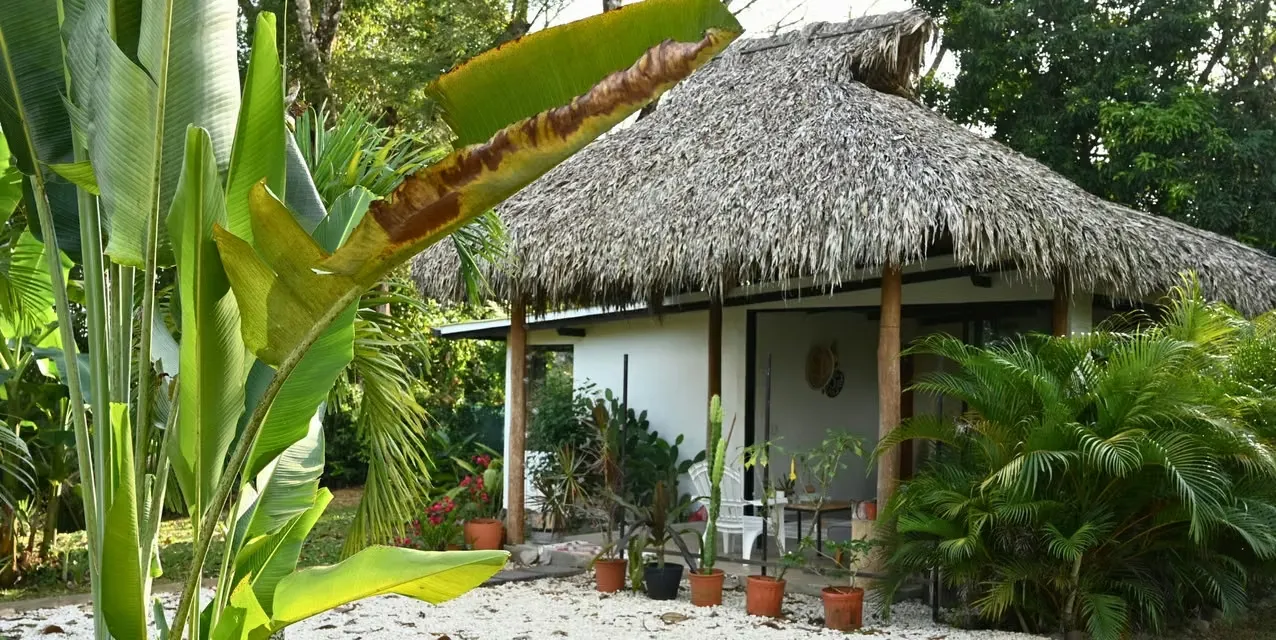 Casa 3 habs en Santa Teresa - Jungle Retreat - Piscina y dos