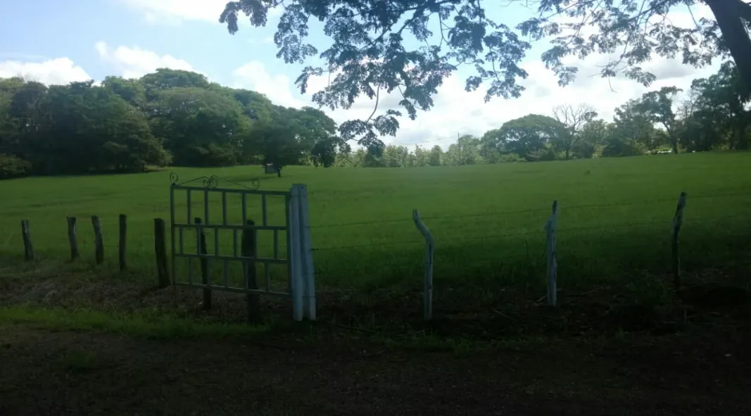 Farm Land for Sale | 47 Hectares in La Ceiba, Orotina – Water Wells, Power & Route 27 Access — photo 2