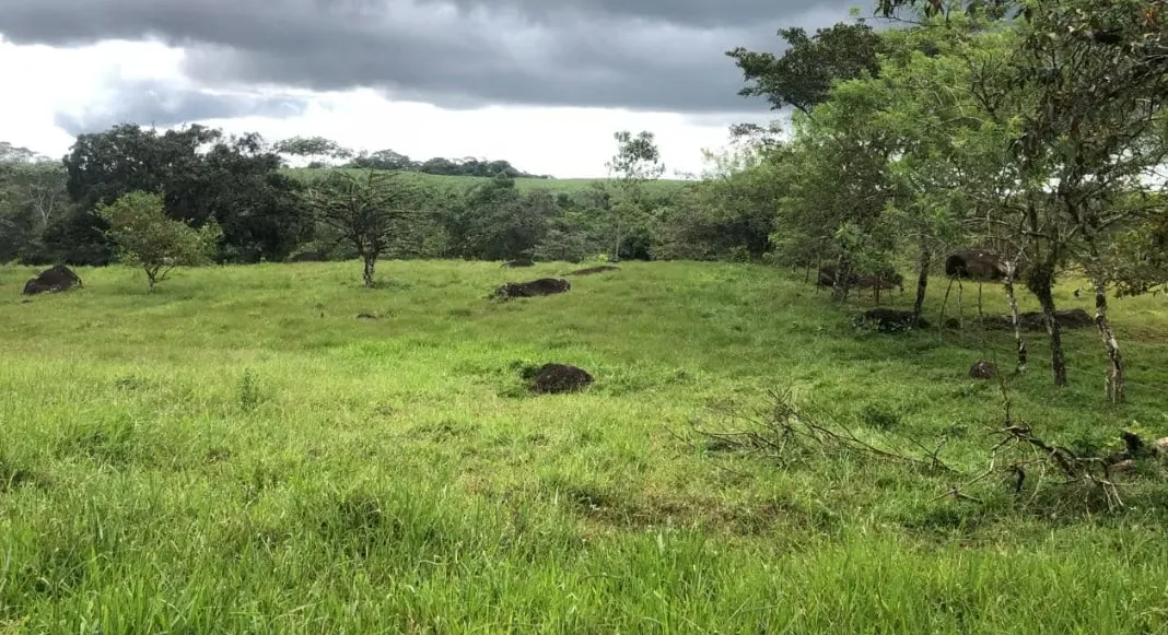 Farm Land for Sale | 47 Hectares in La Ceiba, Orotina – Water Wells, Power & Route 27 Access — photo 3