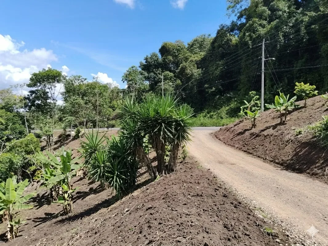 Venta de lote de 720 m2 en San Isidro, Pérez Zeledón