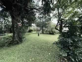MA Asesorías vende lote amplio de 893 m2 Uso de Suelo Mixto, con dos casas en buen estado.