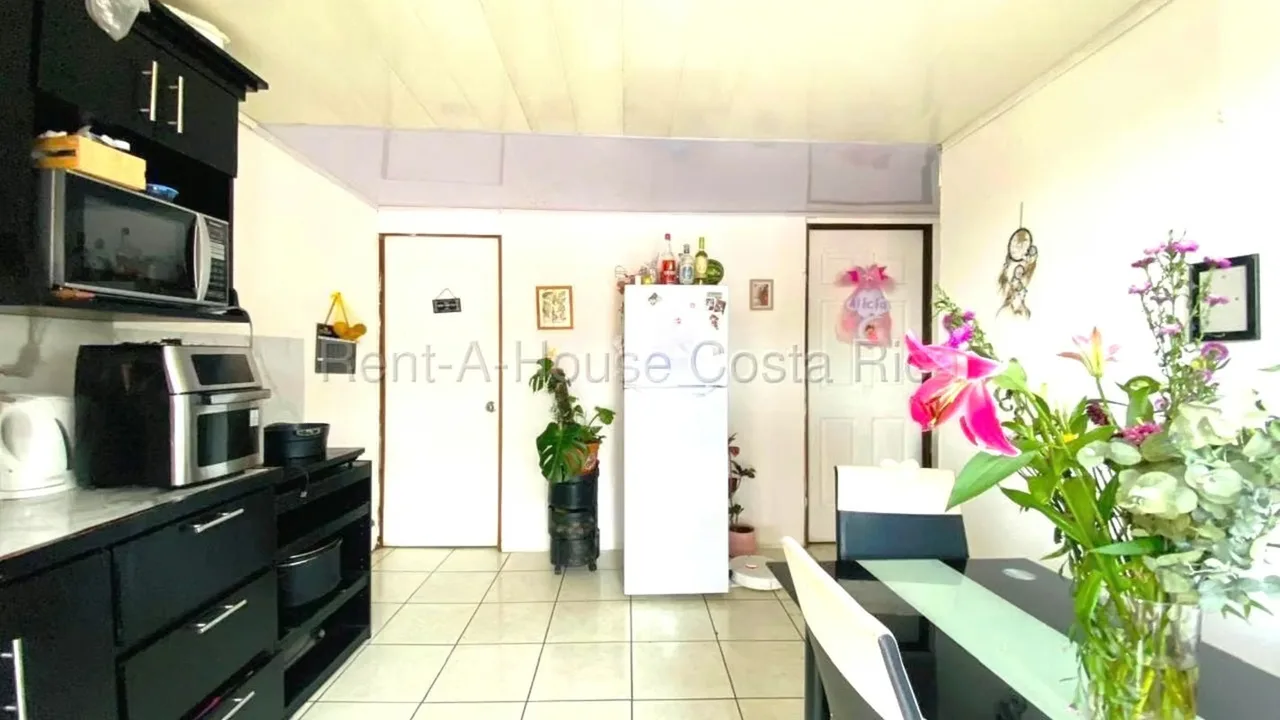 House and Apartment for Sale in San Rafael de Montes de Oca. — photo 4