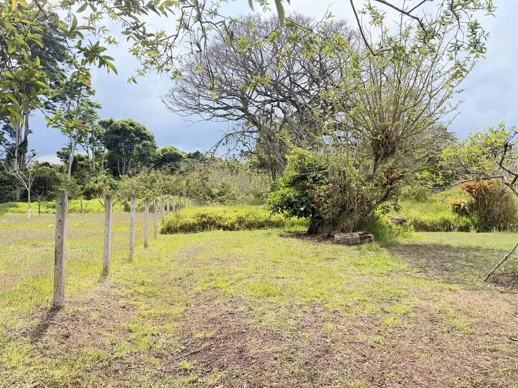 Ubicada en el corazón del Distrito Occidental de Cartago, en una zona residencial consolidada y de crecimiento ...