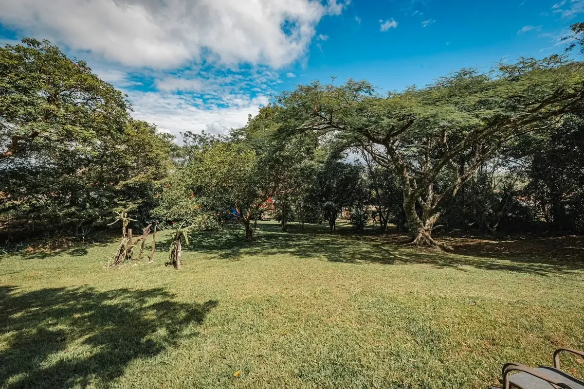 OPORTUNITY: Sale of Development Property in Piedad, Santa Ana