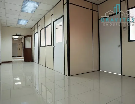 Office building for rent on Calle Blancos (1000 m2) ID 1752 — photo 5