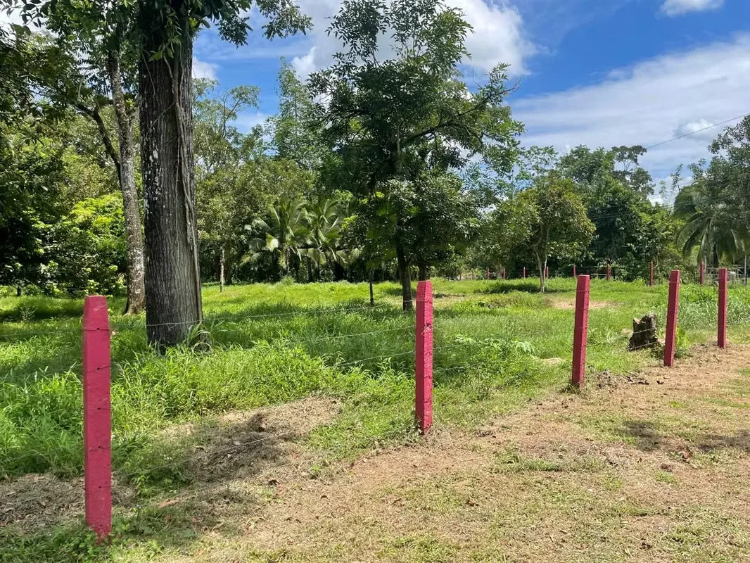 Located in Sarapiquí, this expansive property of over 10 hectares offers a privileged natural setting, ideal for those seeking tranquility, a connection with nature, and high ...