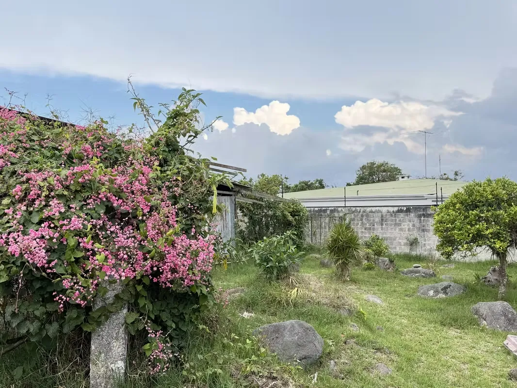 Se vende lote ubicado en Carmen, Cartago, en un sector urbano consolidado con acceso directo a calle pública y cercanía a servicios, comercio y vías principales.