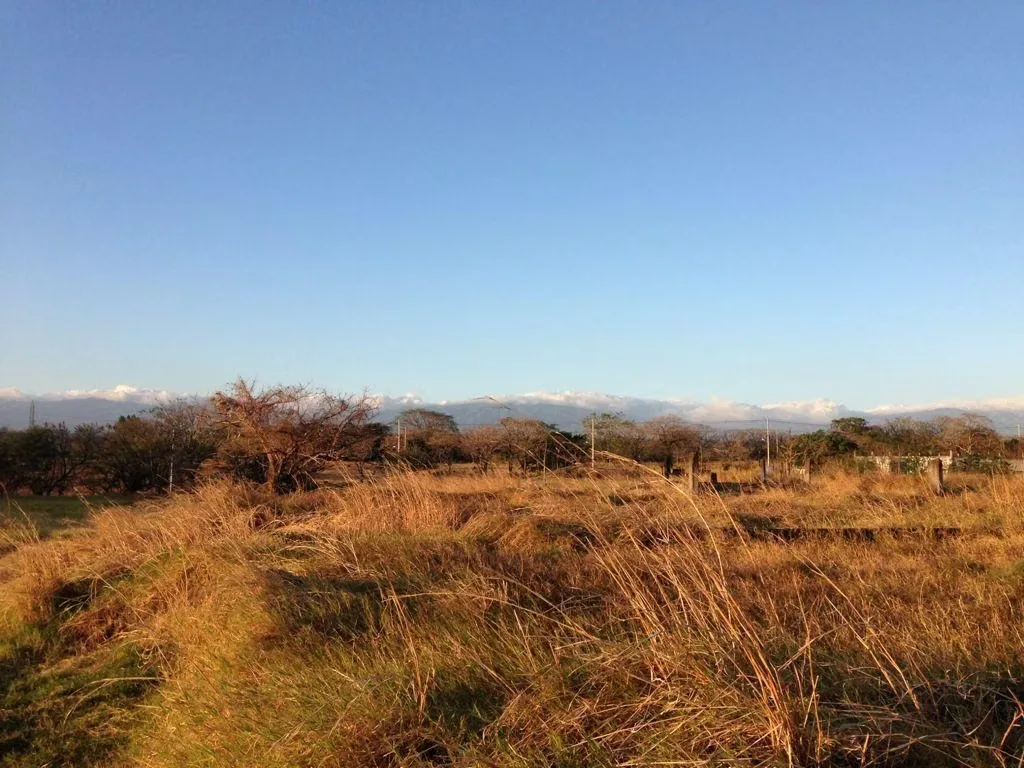 Lots for sale in San Miguel de Turrúcares. — photo 4