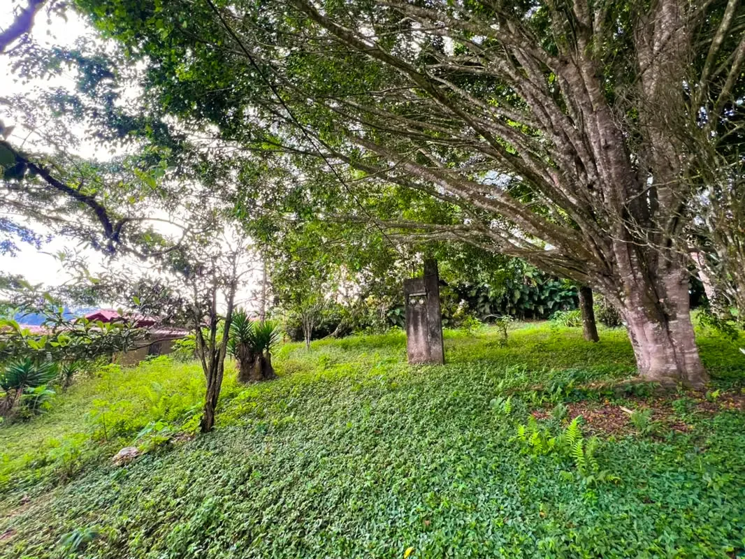 Lot for Sale in San Ramón de La Unión - Surrounded by Nature