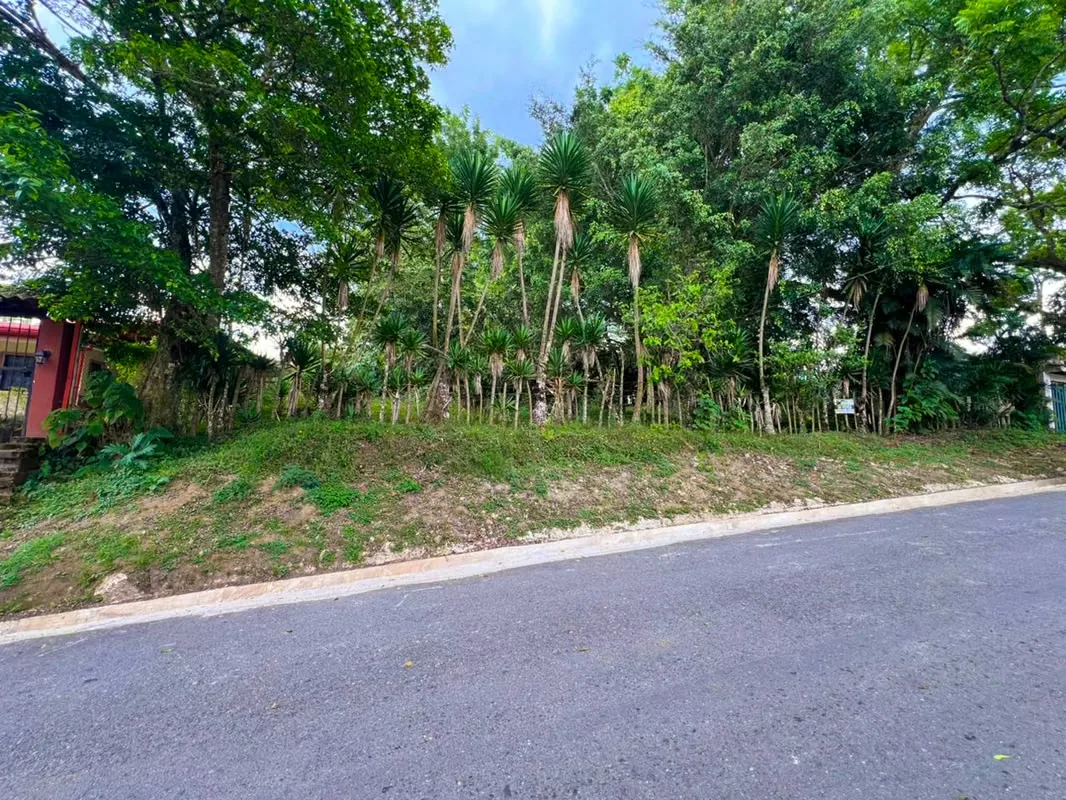 Lot for Sale in San Ramón de La Unión - Surrounded by Nature — photo 2