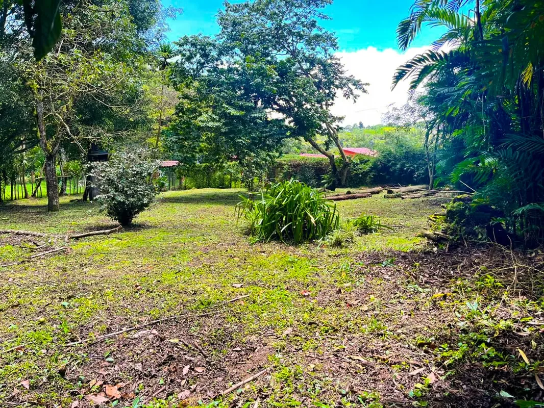 Lot for Sale in San Ramón de La Unión - Surrounded by Nature — photo 3