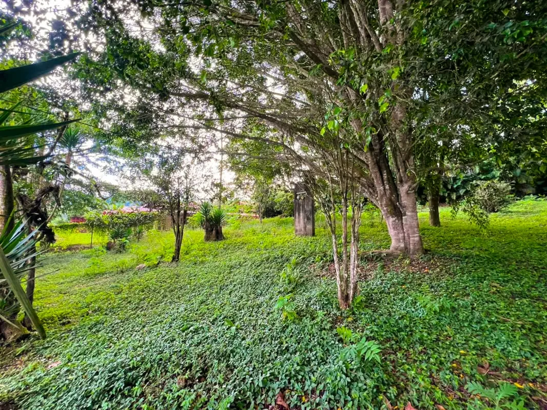 Lot for Sale in San Ramón de La Unión - Surrounded by Nature — photo 4