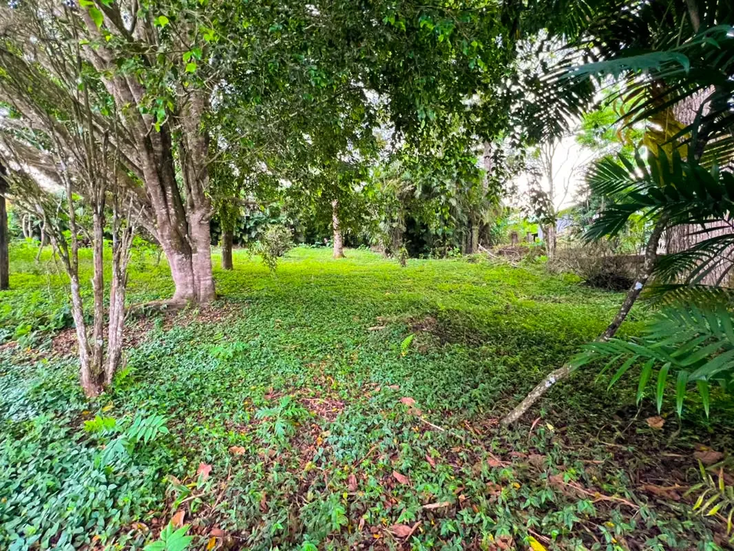 Lot for Sale in San Ramón de La Unión - Surrounded by Nature — photo 5