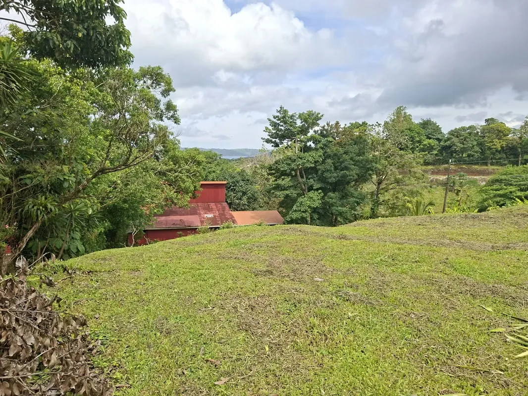 Ubicado en una de las zonas más espectaculares de Costa Rica, este terreno de 2605 m² ofrece una ...