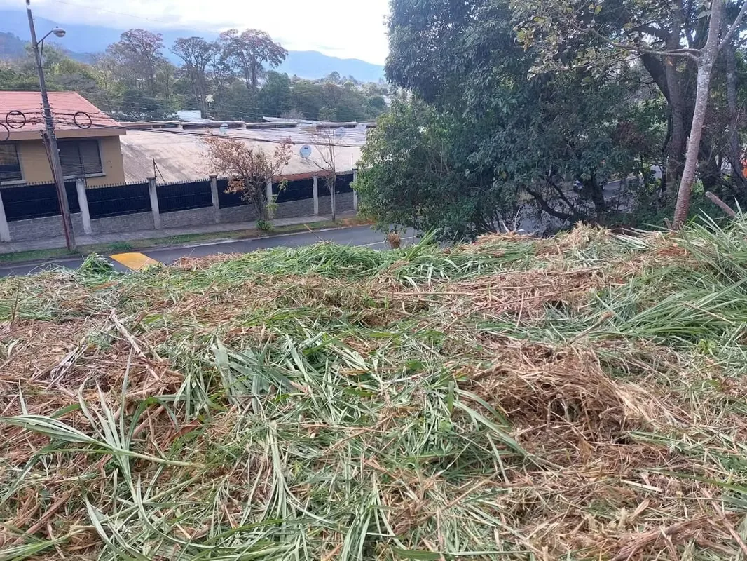 Oportunidad única para desarrollar en una de las zonas con mayor plusvalía, demanda y proyección del este de San José. — photo 3