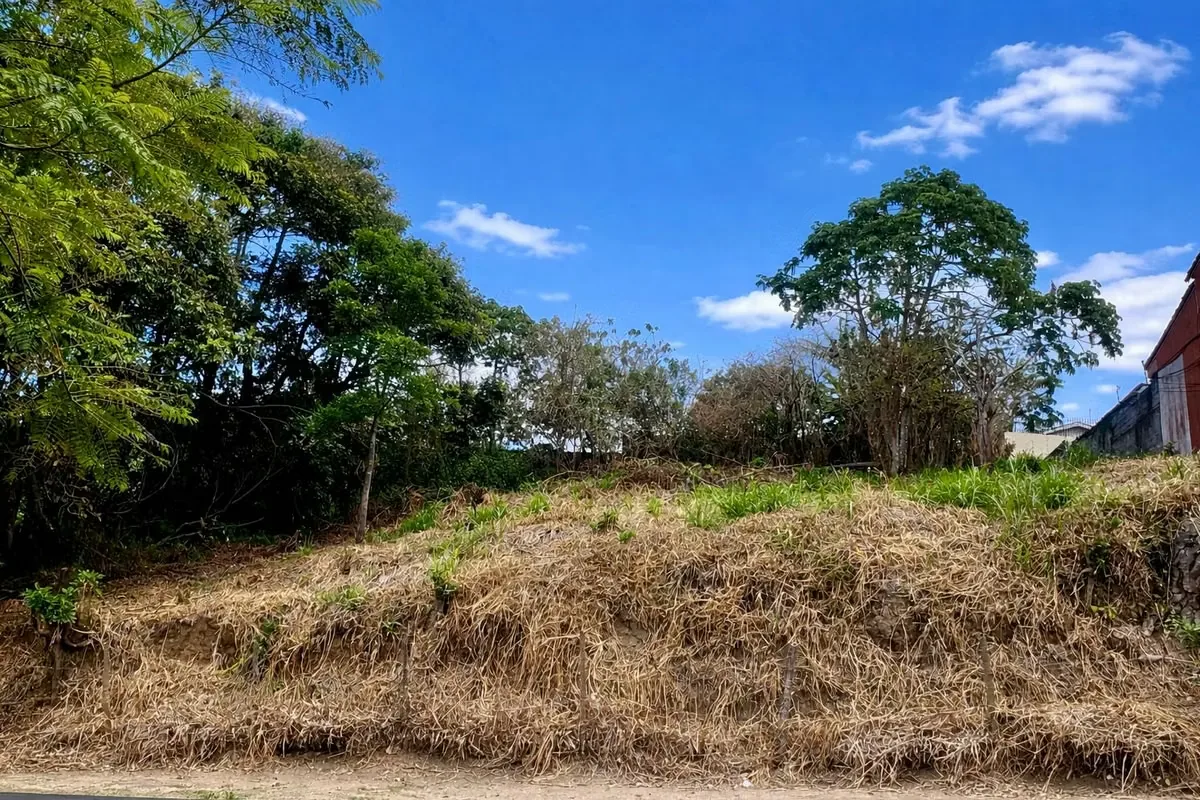Oportunidad única para desarrollar en una de las zonas con mayor plusvalía, demanda y proyección del este de San José. — photo 5