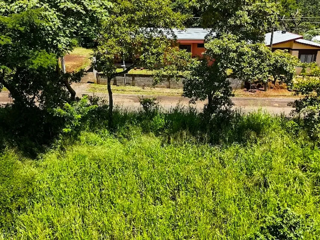 VENTA DE LOTE INDEPENDIENTE EN GRECIA, ALAJUELA PARA INVERSIÓN