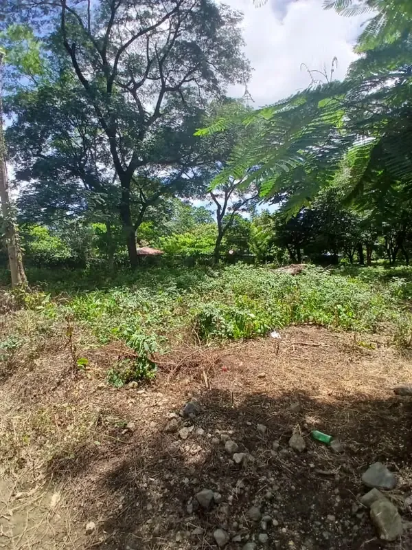 VENTA DE LOTE SARDINAL DE CARRILLO ARTOLA OBANDITO GUANACASTE