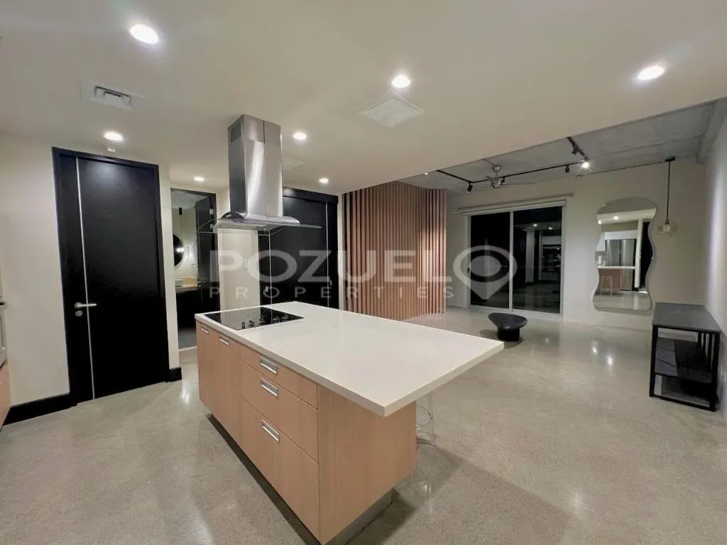 Furnished loft for rent in Avenida Escazu