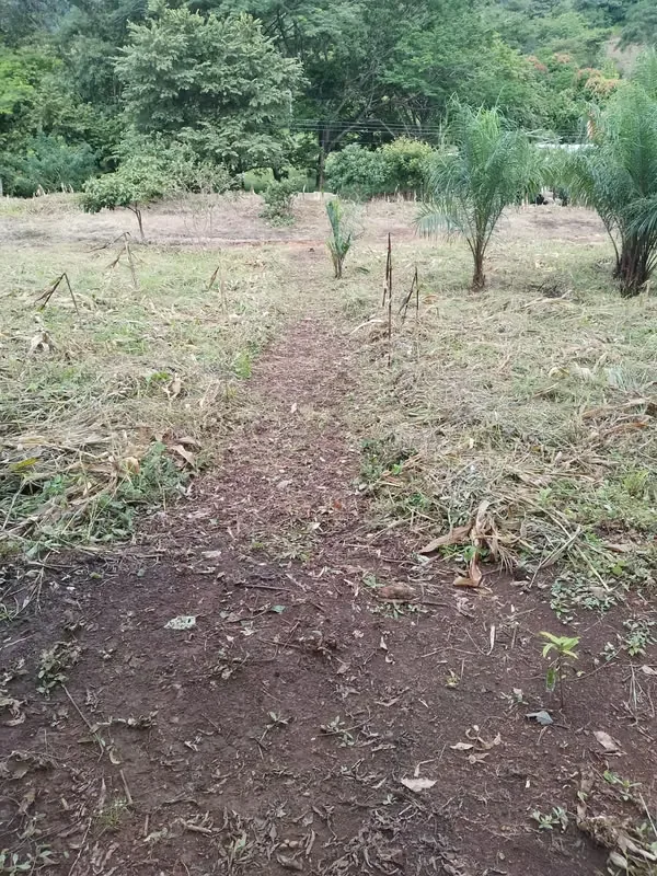 Land for sale in Santo Tomás Santo Domingo