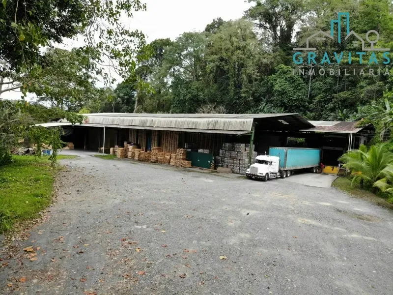 Bodega en venta en Limón, para industria o almacenaje ID 1037