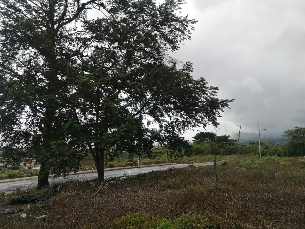 MA Asesorías vende terreno para Proyecto en Goicoechea, El Carmen. Mata de Plátano