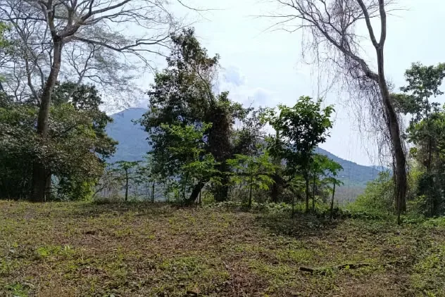 Con una conveniente localización entre San José y el Pacífico, usted puede vivir placenteramente en un lugar ... — photo 2