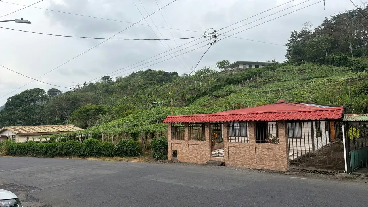 Vendo Finca productiva con casa en Paraíso Cartago