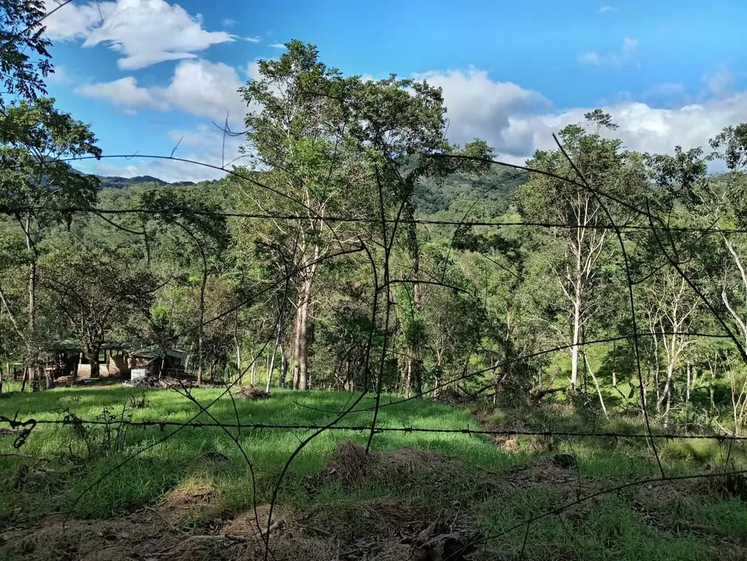 Finca con un área de 10 hectáreas de pura belleza natural, con una topografía plana y suaves ondulaciones, ideal para explorar y ...