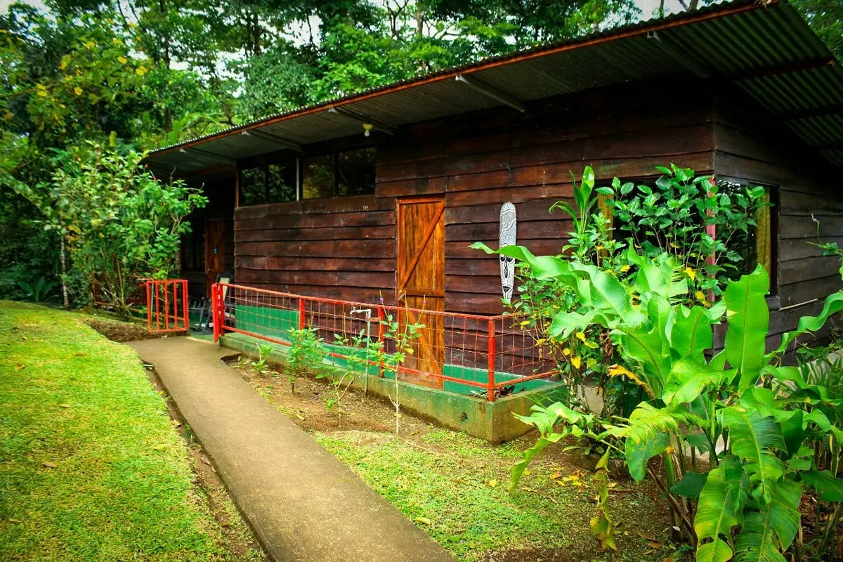 Retiro de Selva:  Eco Lodge Magico para la Venta