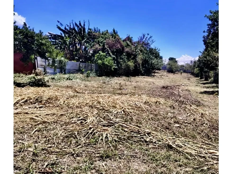 LOTE EN VENTA EN DESAMPARADOS DE ALAJUELA – ALTO POTENCIAL RESIDENCIAL
