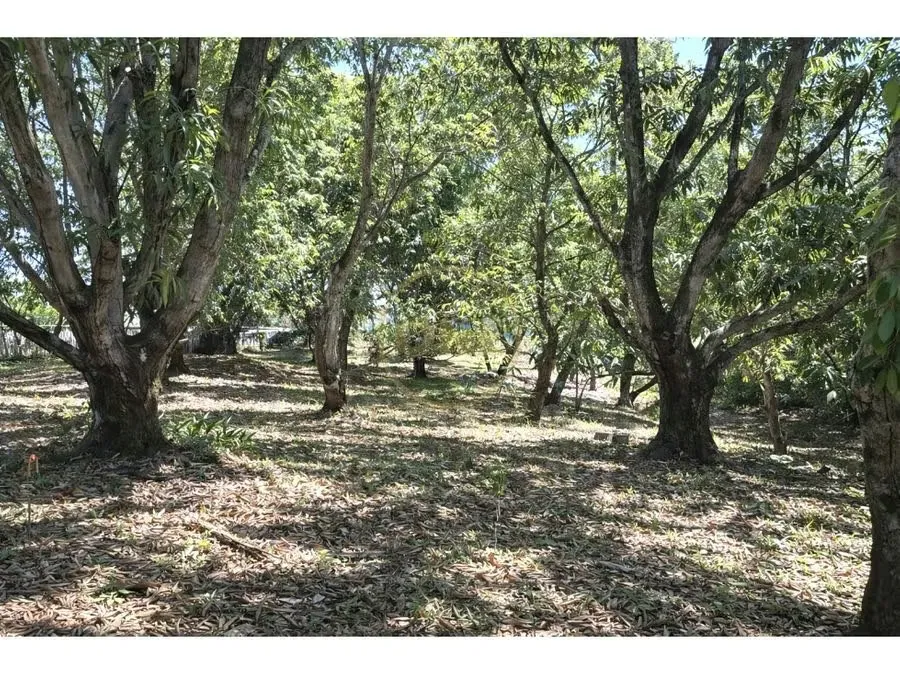 VENTA / Terreno en Coyolar, Orotina, Alajuela
