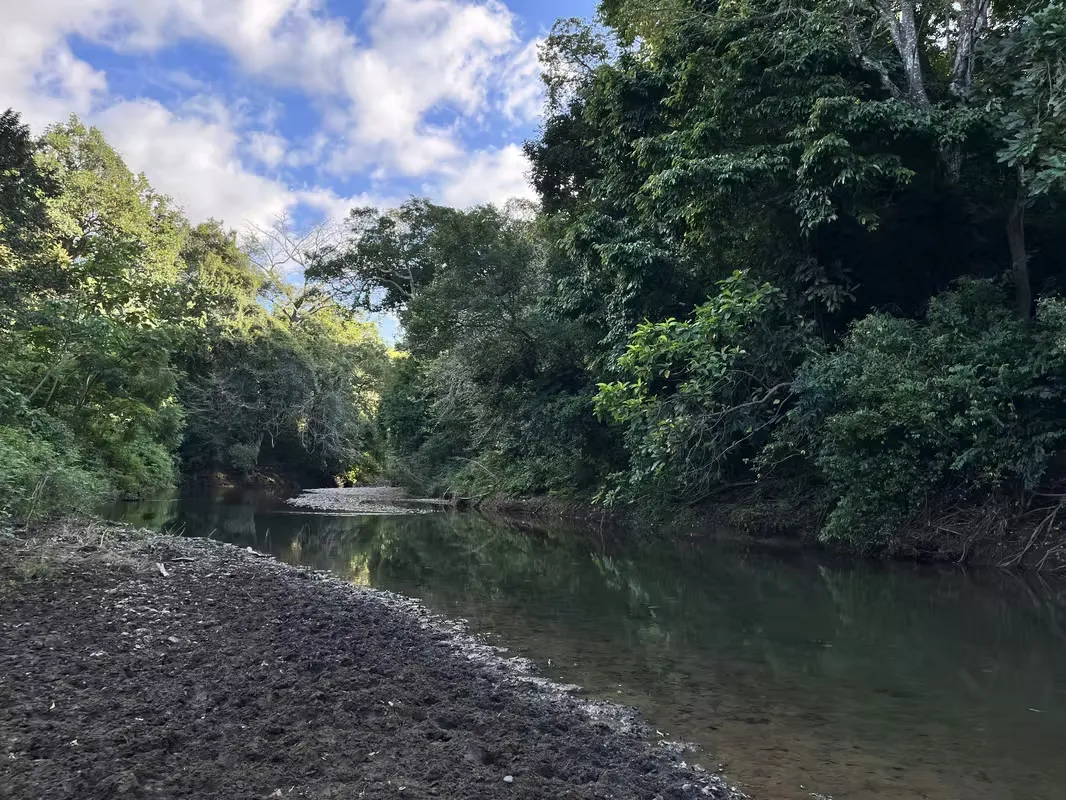 Lotes Residenciales en Venta, Nosara, Guanacaste | Terreno Plano | Blue Zone | Desde $90,000