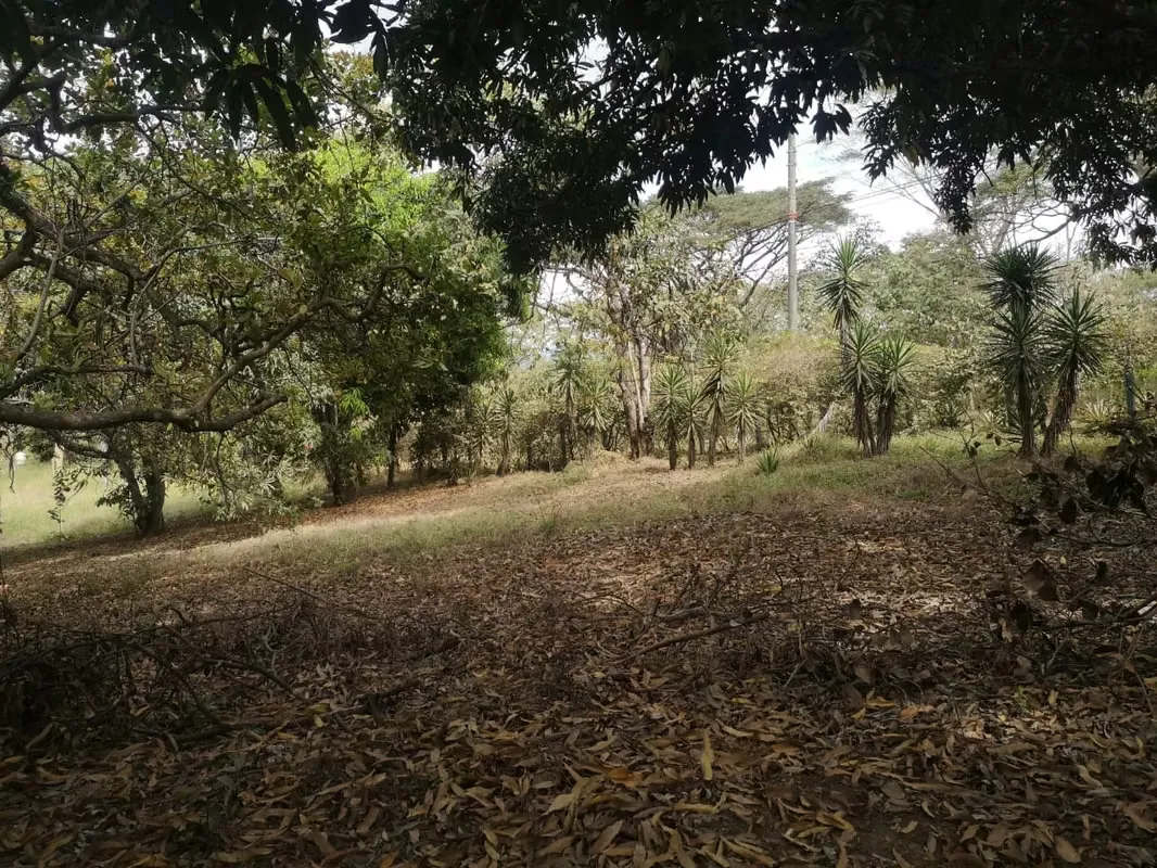 Lote en Solymar, Playa Bajamar, Tárcoles, Puntarenas