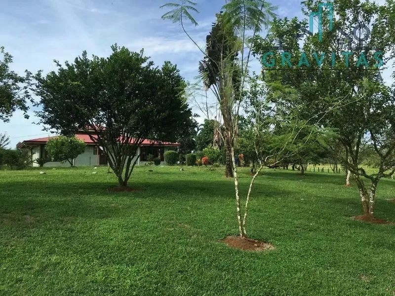Livestock farm for sale in Guácimo, Limón 82 Hect ID 211