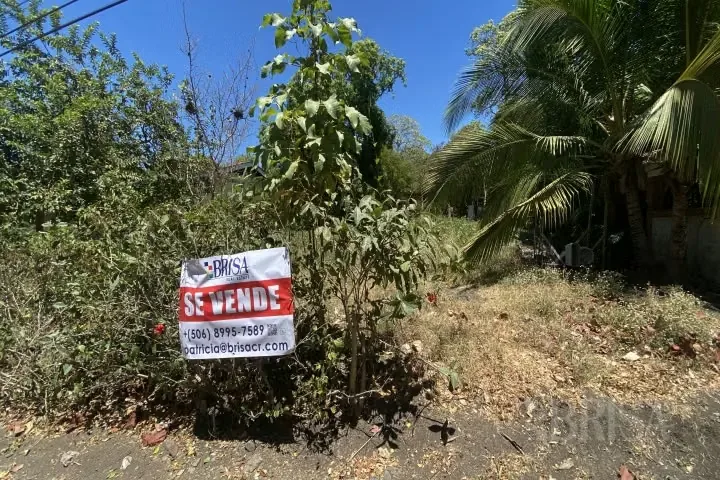 Land for sale in Tivives, Puntarenas, just 150 meters from the beach. Located within the Tivives Cooperative, inside the protected Tivives Wetland area, this property offers privacy, ...