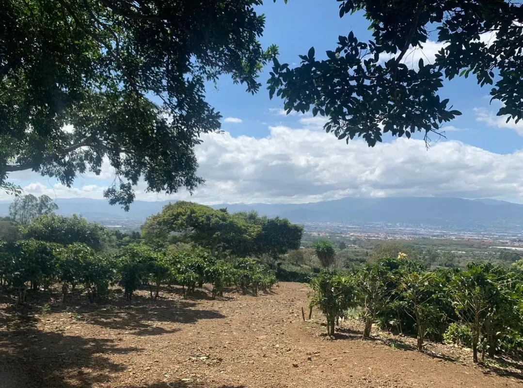 G.A. Venta Terreno Excepcional en San Rafael de Heredia – Vistas Panorámicas y Potencial Comercial