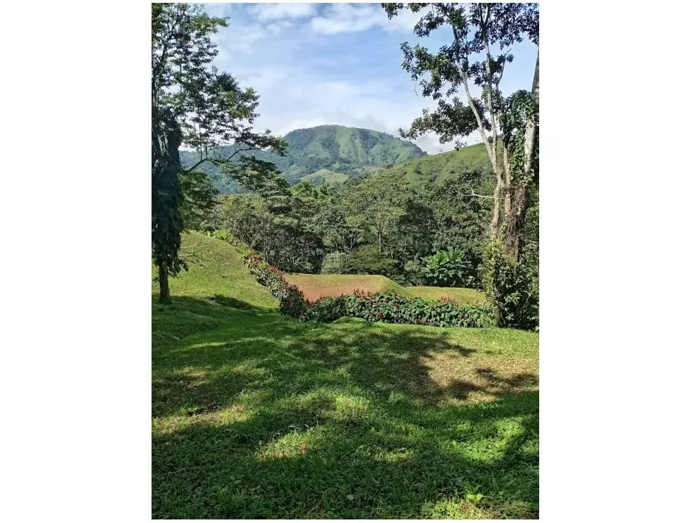 VENDO LOTE EN PURISCAL