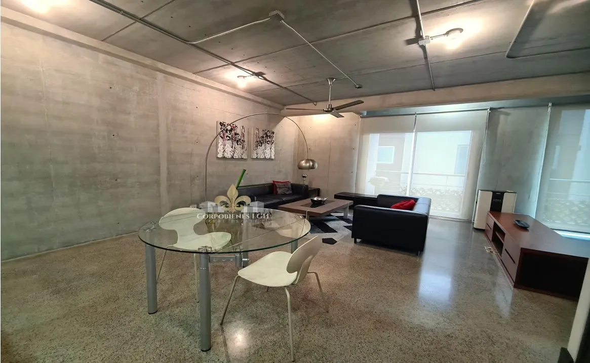 Alquiler de Apartamento tipo Loft, totalmente amueblado en Av. Escazu.