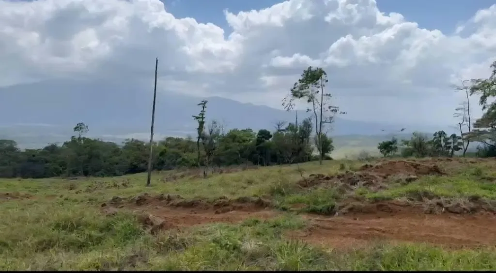FINCA ganadera, de 53 hectarias, con tres naciente de agua, repartos, casita en buen estado, totalmente cercada,