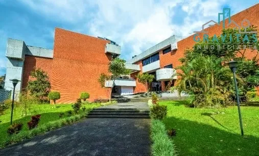 Rental Office in San Pedro (In oficentro) ID 1395