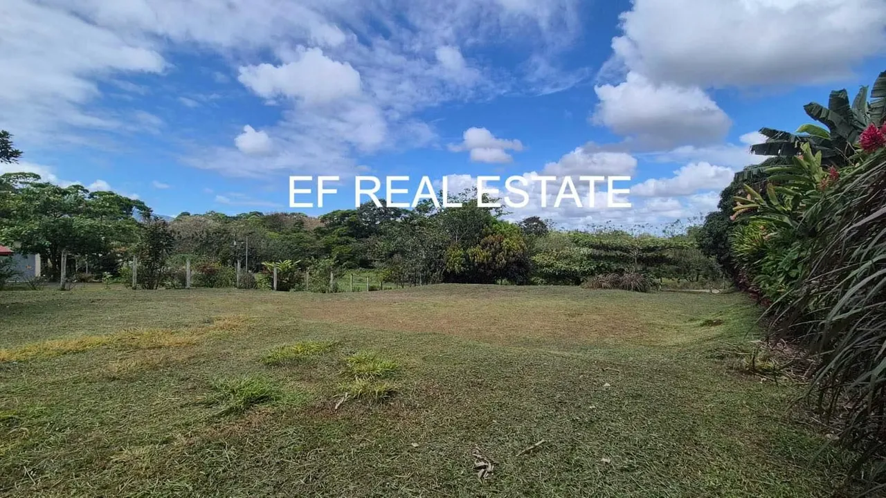 VENTA DE LINDO TERRENO RIO CUARTO ALAJUELA 1492 ÁRBOLES FRUTALES