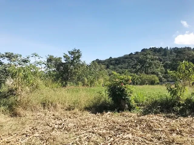 Land for Sale in Heredia Santo Tomás 16774