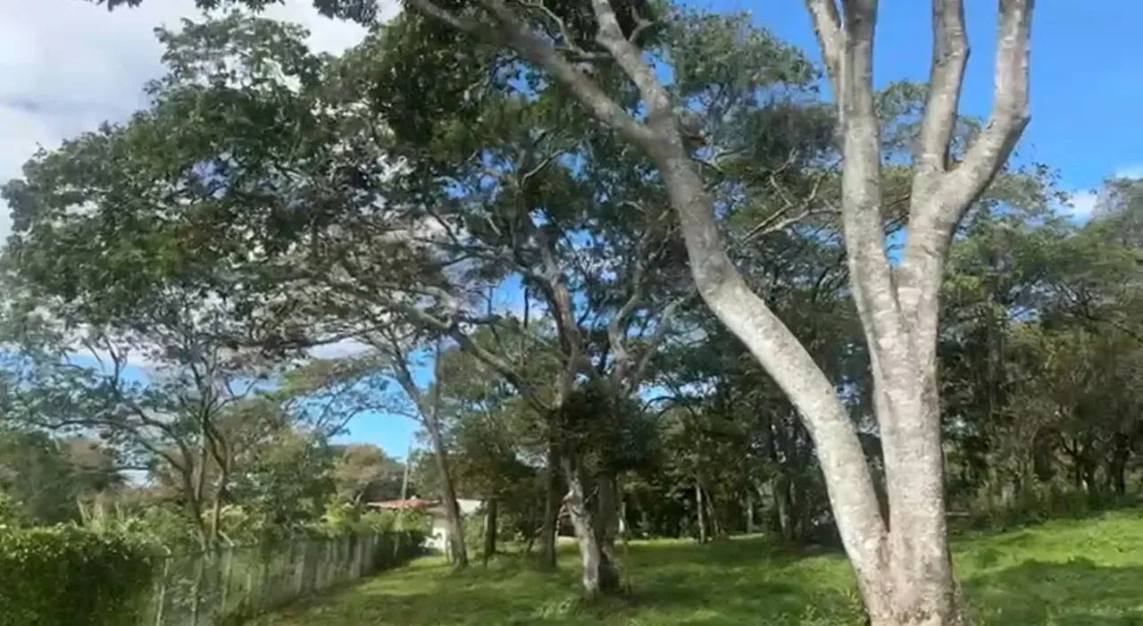 VENTA DE TERRENO EN RESIDENCIAL BARONS, SANTA BARBARA DE HEREDIA