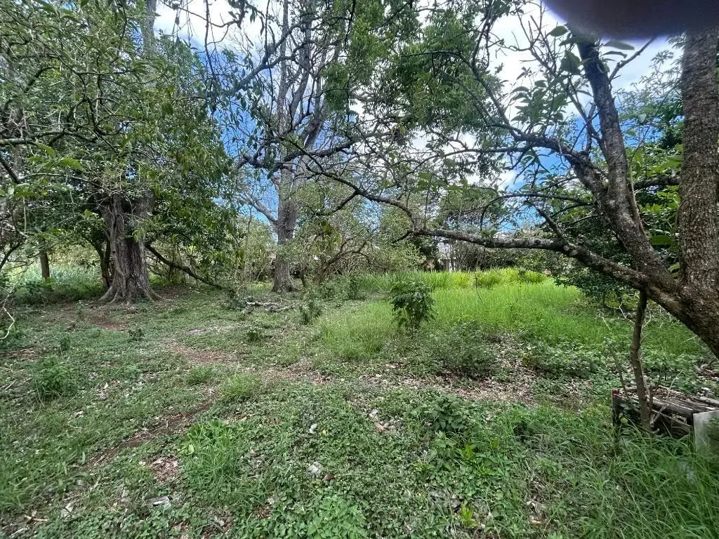 Lot for urban development