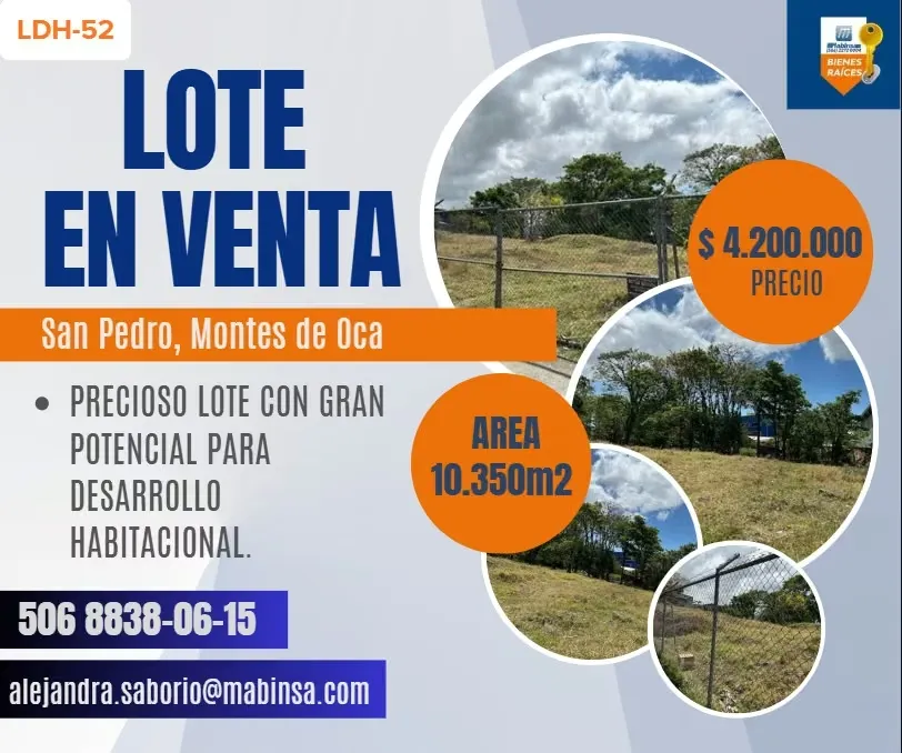 Beautiful lot with great potential for housing development.