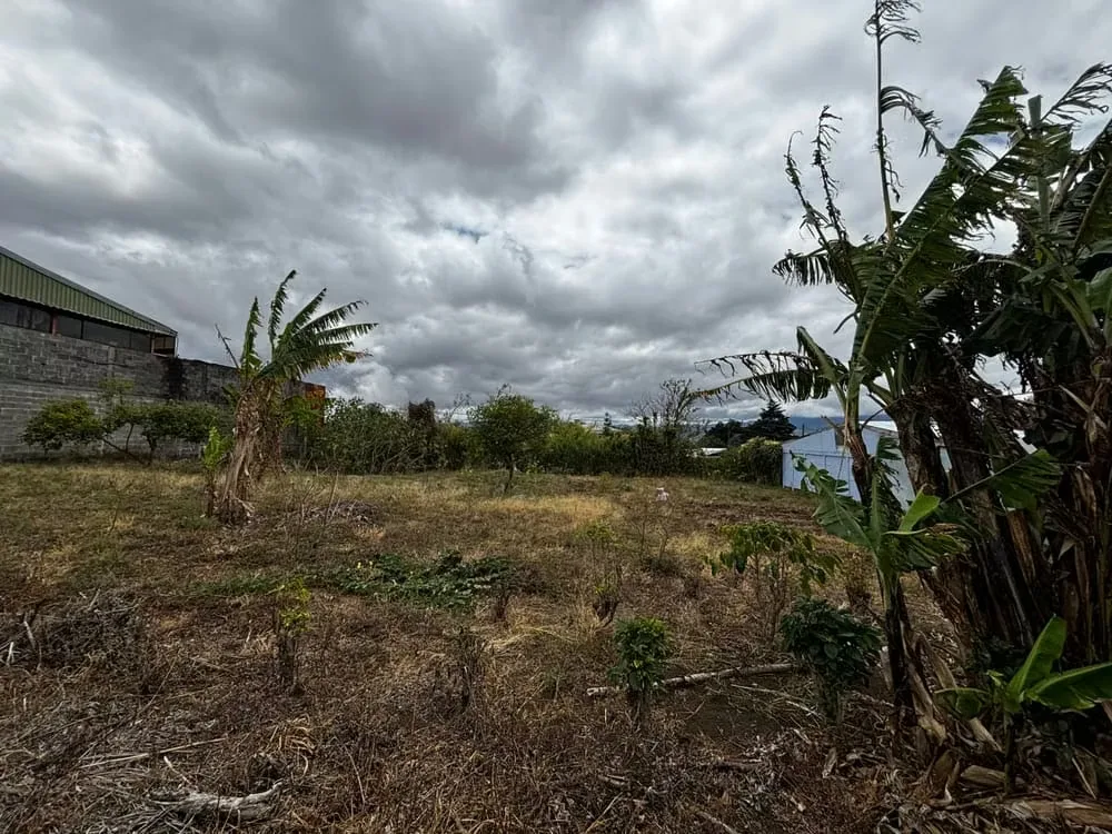 Land for Sale in Santo Tomás de Santo Domingo de Heredia — photo 3