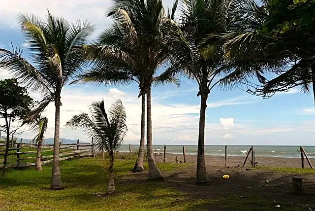 • Surrounded by Tivives Protected Zone (mangroves ...